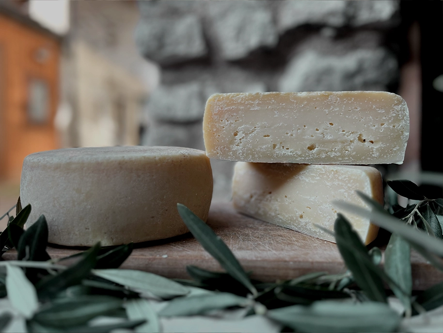Formaggi freschi a km0 dell’Azienda Agricola Collini di Tignale, disposti su un tagliere con foglie di ulivo